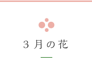 3月の花
