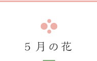 5月の花